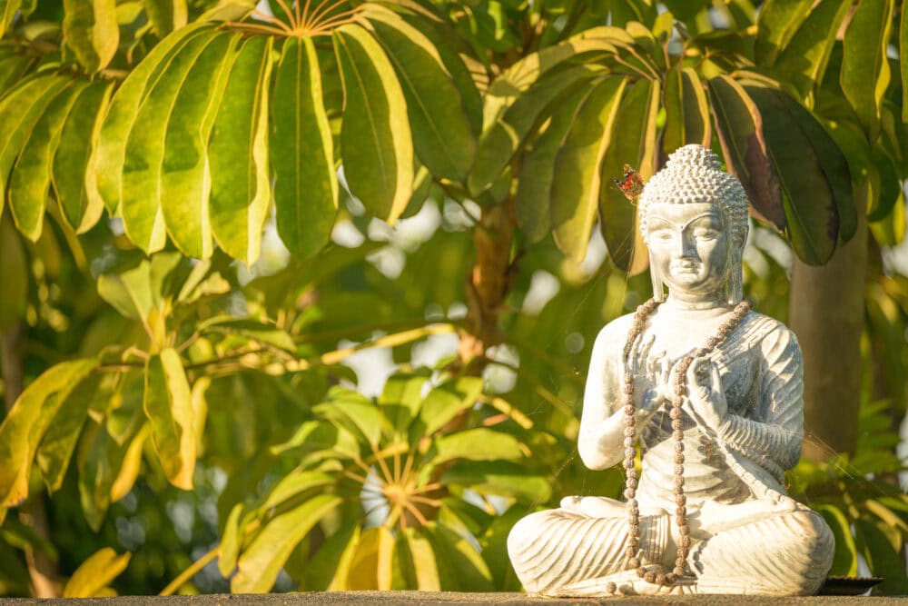 buda
