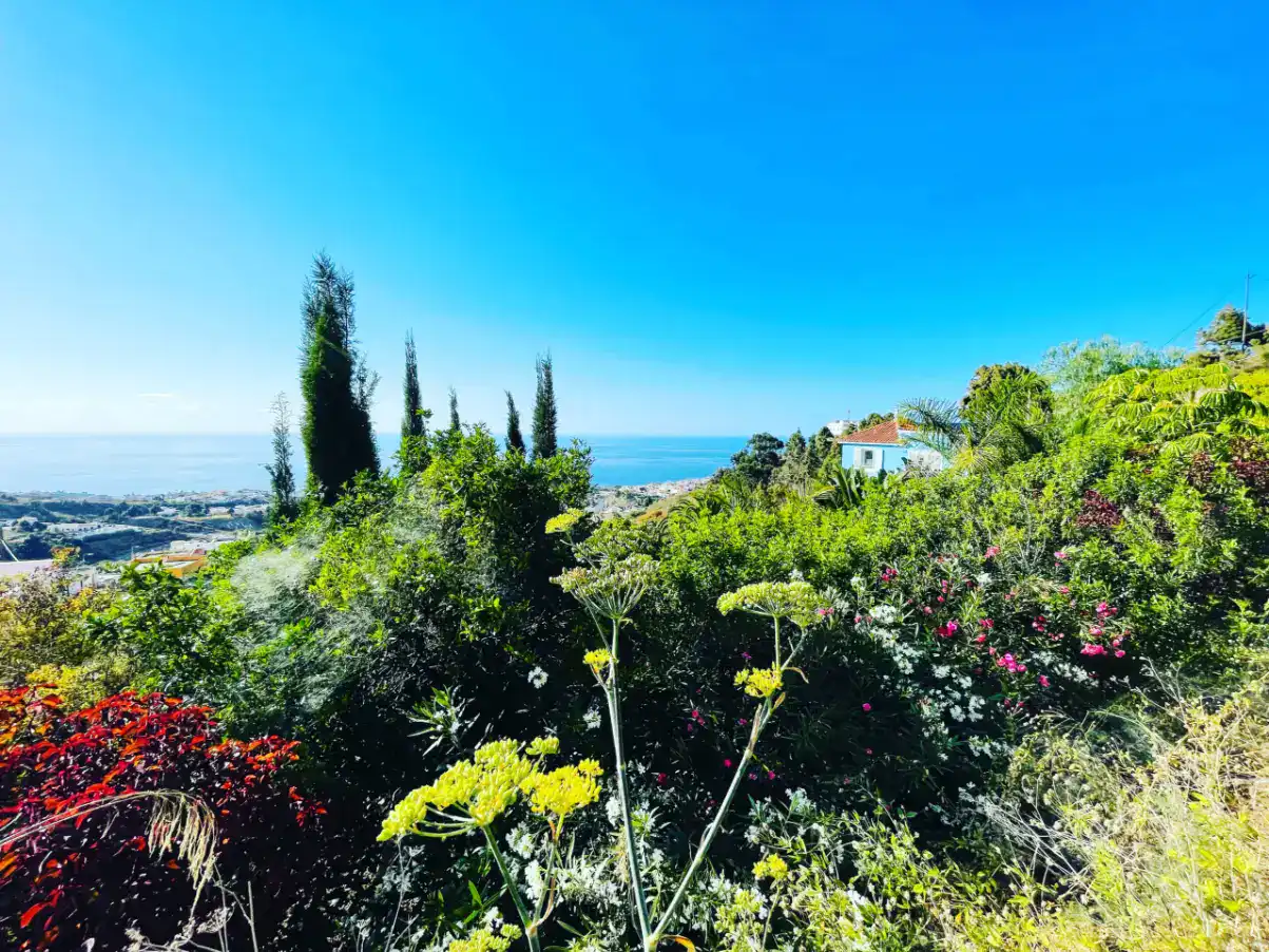 Casita de Ayurveda Tenerife, centros de yoga en Icod de los Vinos